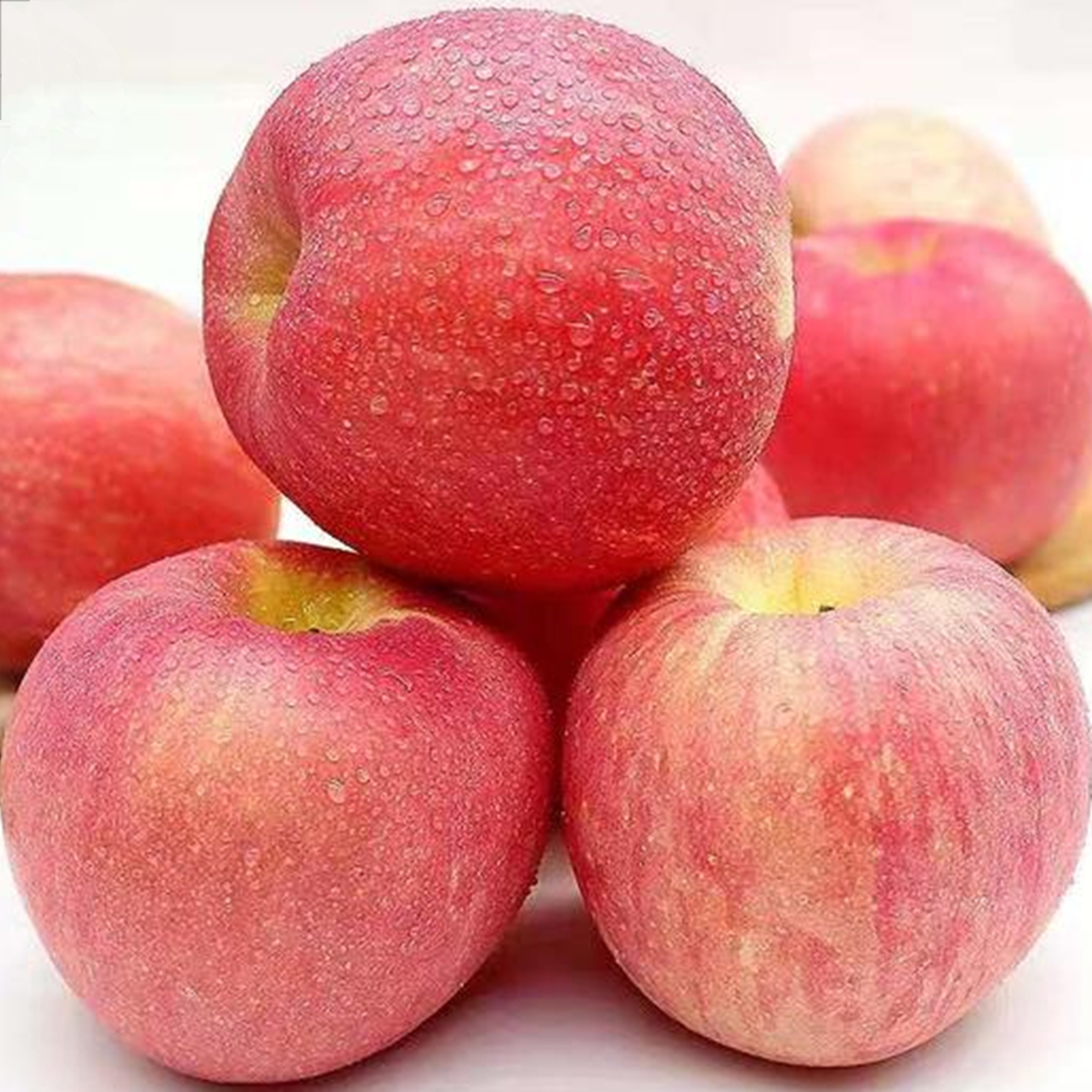 gala apple