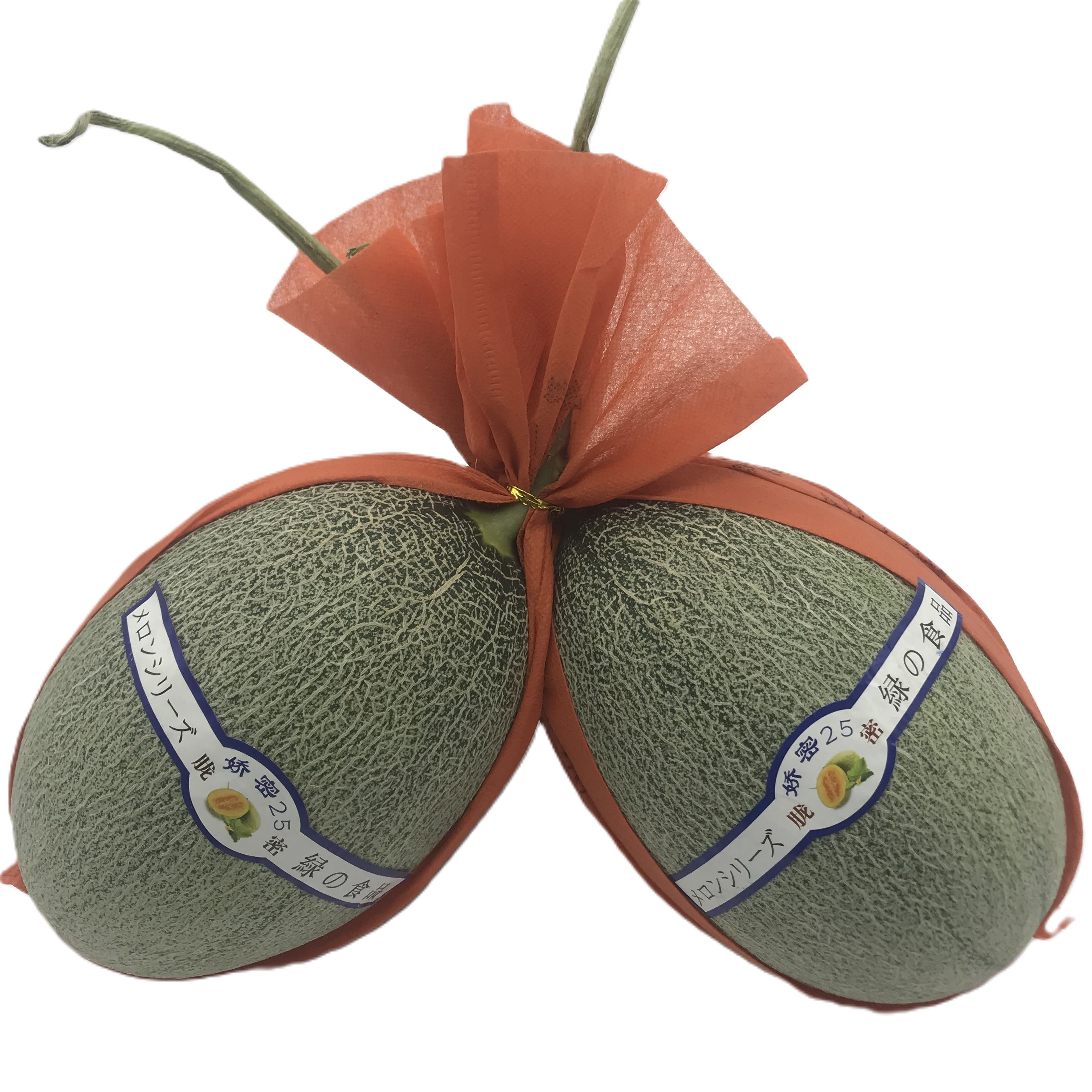 FRESH MELON